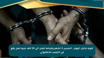 تنويه عاجل اليوم.. الحبس 3 أشهر وغرامة تصل إلى 50 ألف جنيه لمن يقع في النصب الإلكتروني